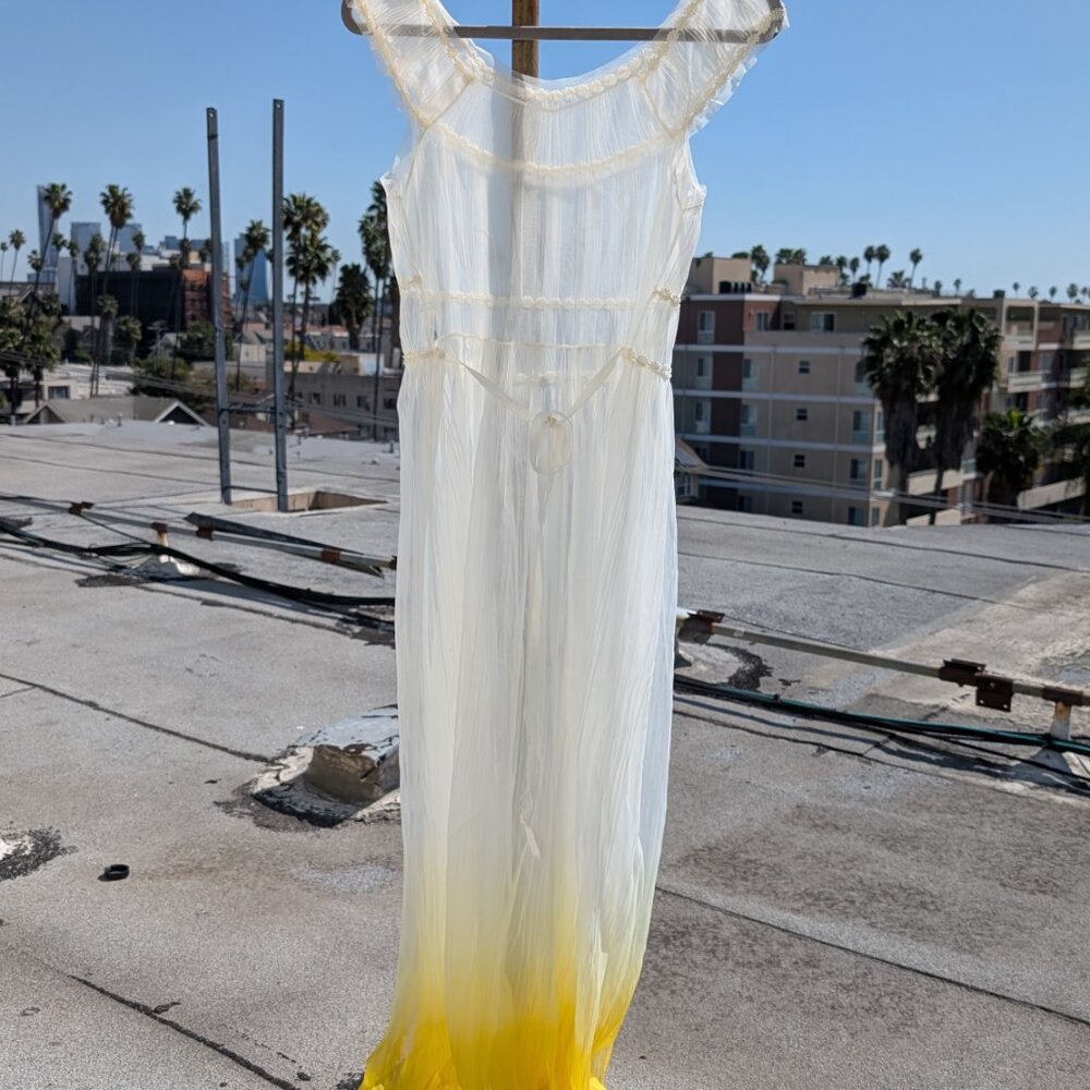 Sebrina Carpenter Vintage Sheer Chiffon Nightgown Fairycore Festival Coachella